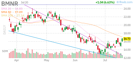 BMNR chart